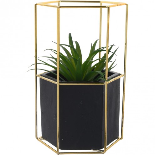 Planta Decorativa Gold
