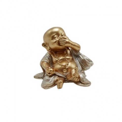 Buda Niño Sabio No Habla
